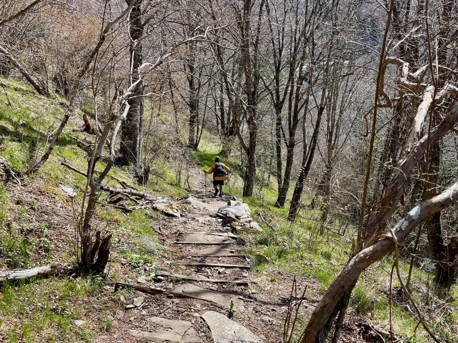 Steps leading down from Waterrock Knob