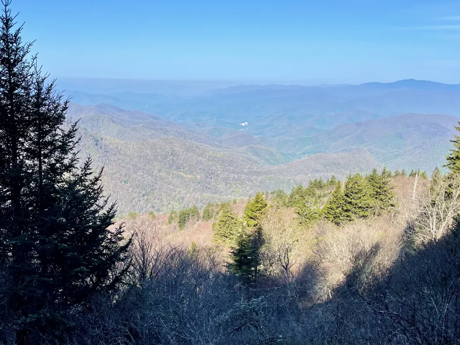 A view from Waterrock Knob 