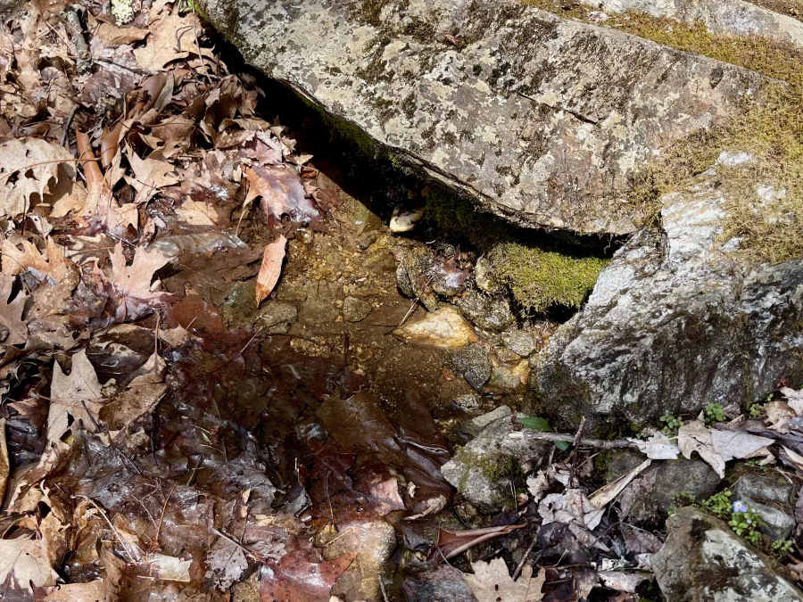 Water trickles from a spring