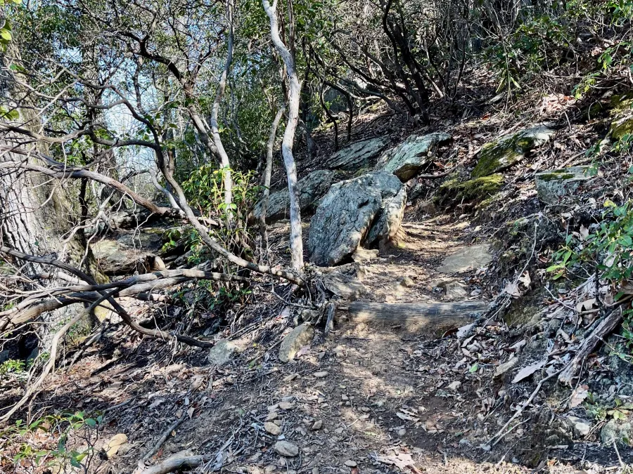 The trail makes a steep climb
