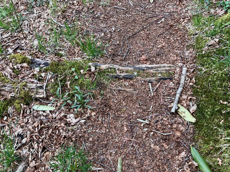 Rotting railroad ties on the trail