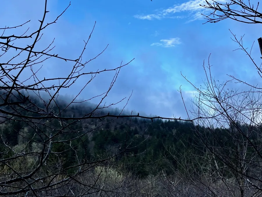 Low clouds begin to lift