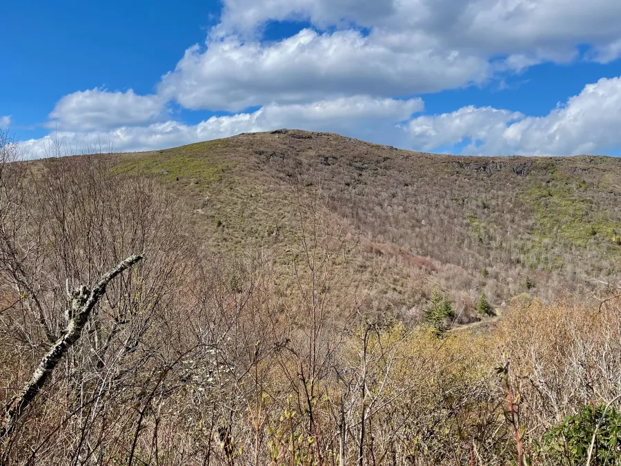 A view of Tennent Mountain