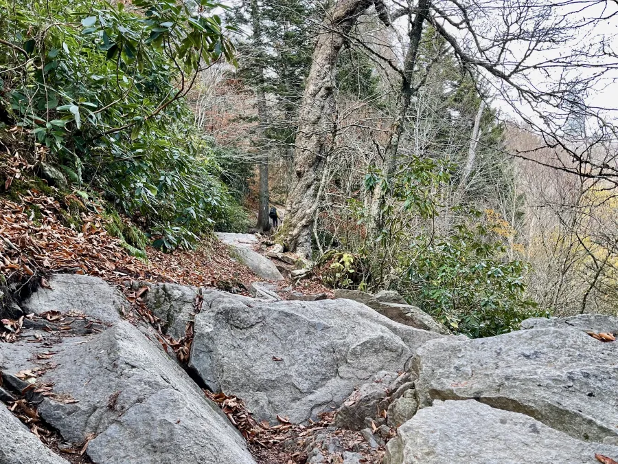 Large boulders stand on the trail