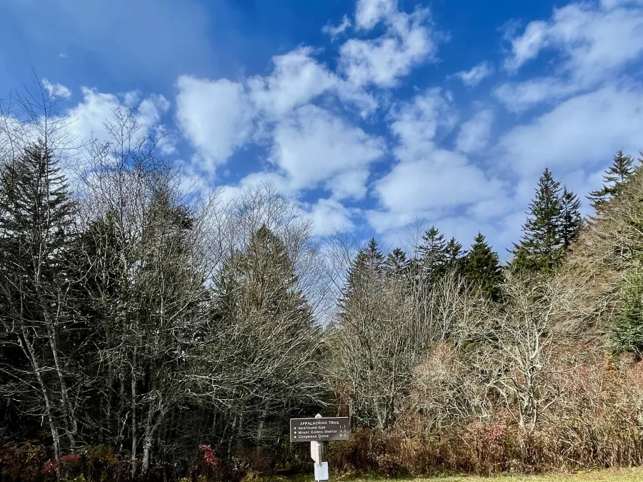 Broken clouds above Indian Gap
