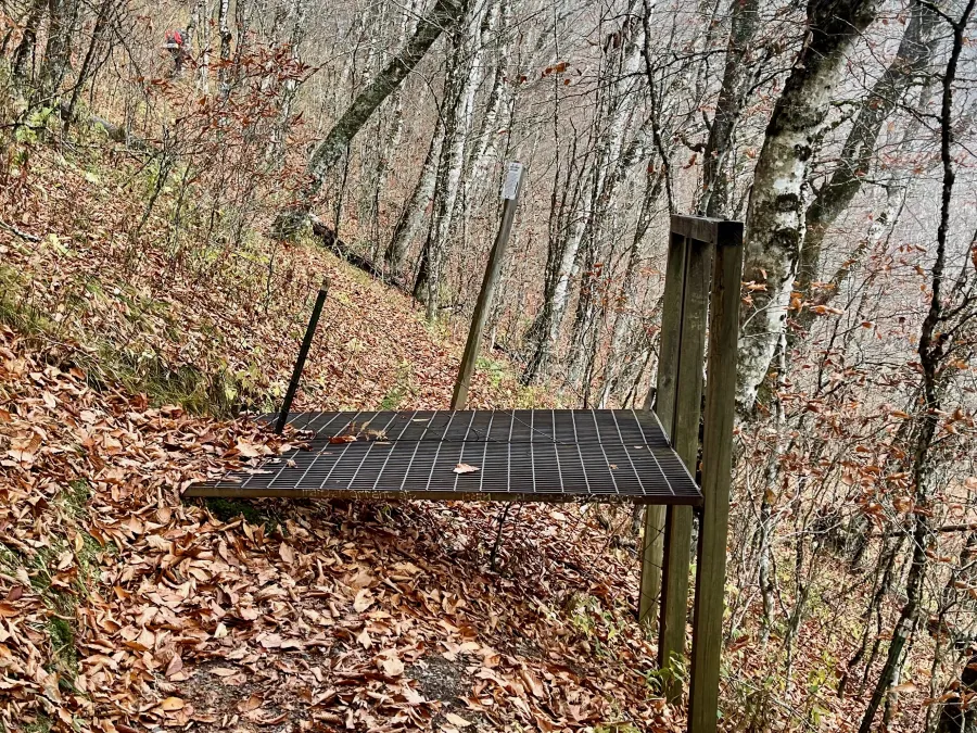 An enclosure to keep non-native wild boars away from native plants and trees