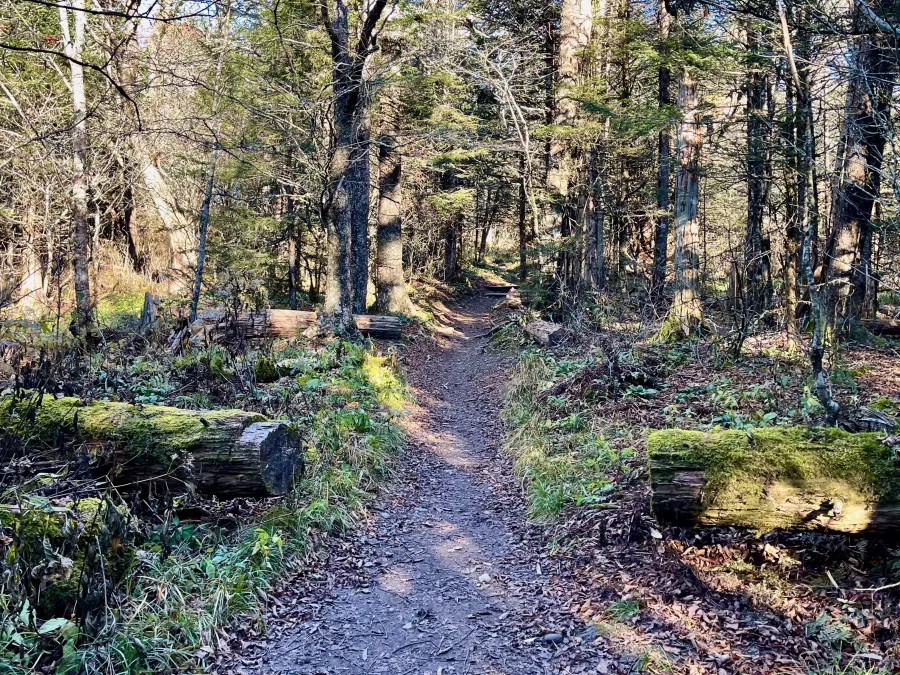 Near where the Boulevard Trail intersected with the AT