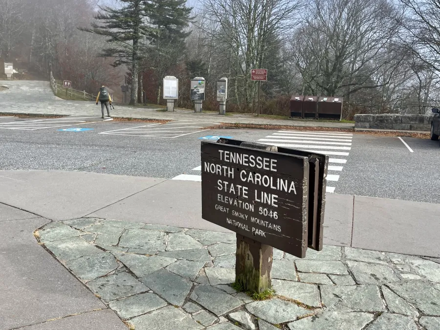 Polecat walks across Newfound Gap 