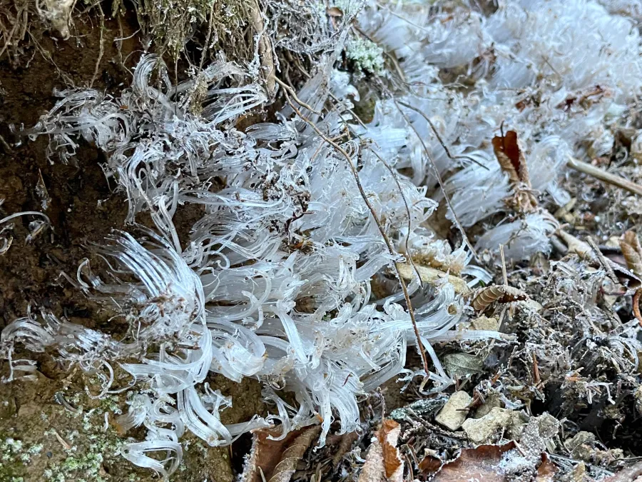 Ice ribbons