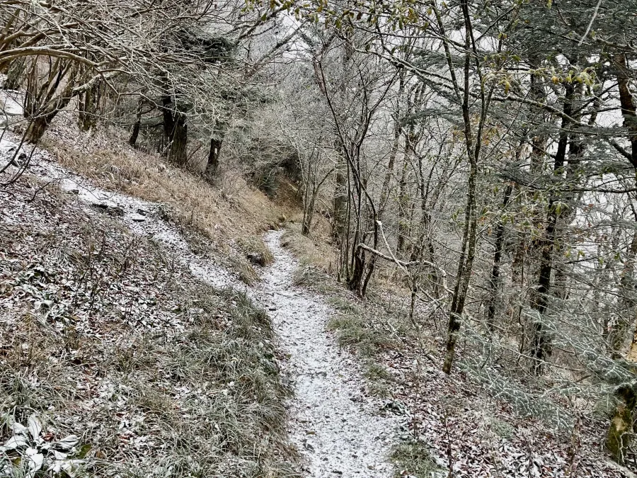 A side trail leads to Charlie's Bunion