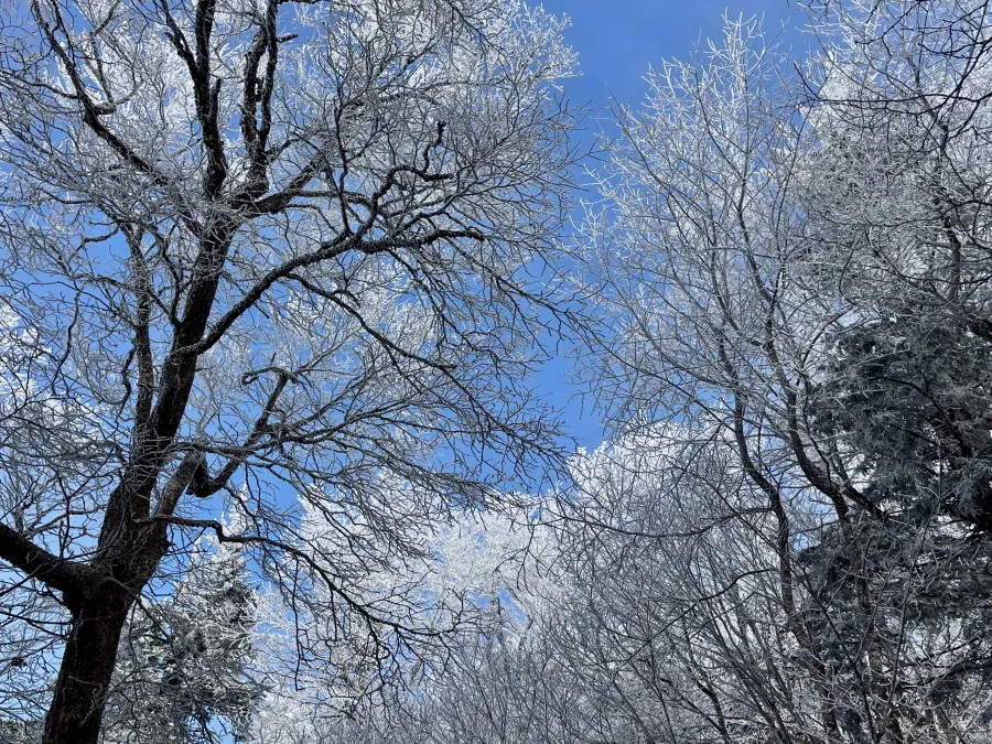 The sky clears