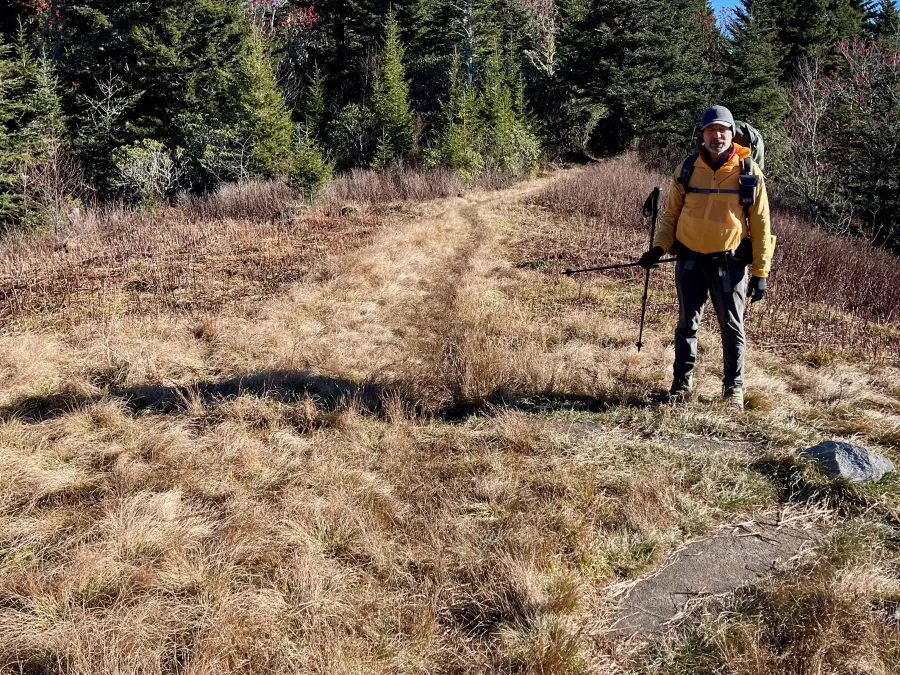 Polecat stands at an old helicopter landing pad