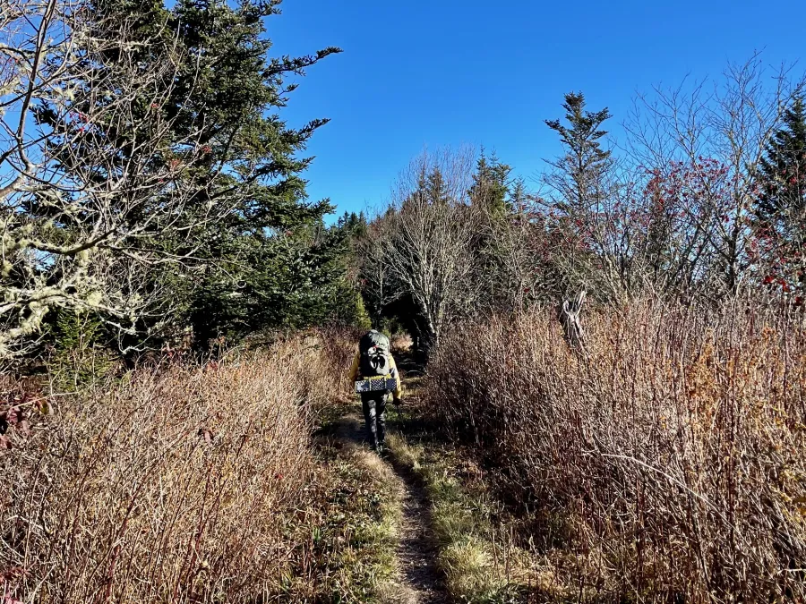 Approaching the top of the climb