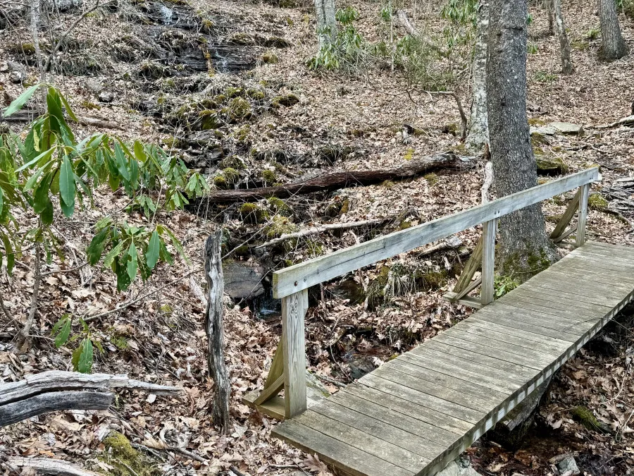 A footbridge over a small stream