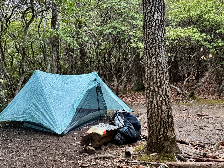 Gravity's tent stands in a campsite