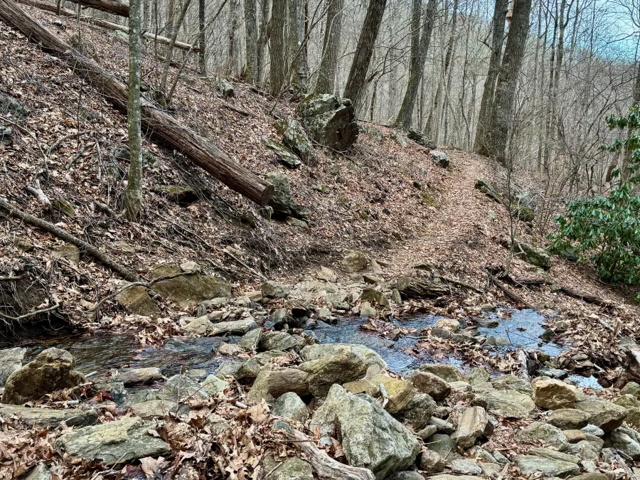 Water streams over the trail