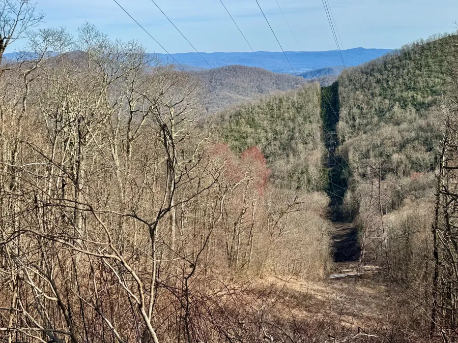 A line is cut through trees for a powerline