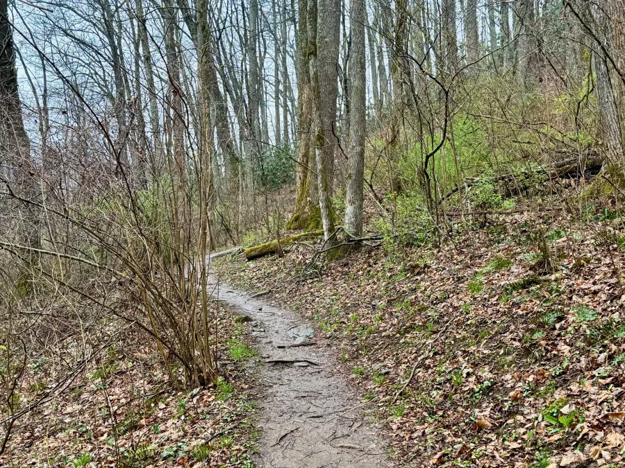 The trail crosses the Buell Plot