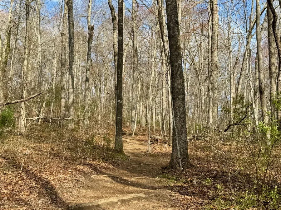 The trail seemed to be flat, though it was slightly climbing