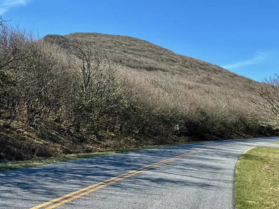 Looking back at Craggy Dome
