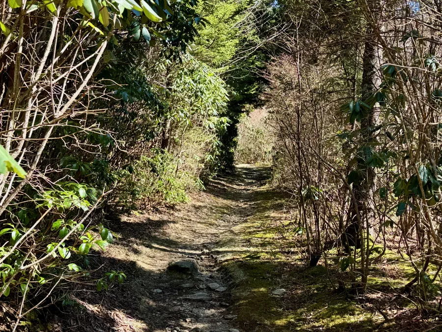 The trail on a former railroad bed