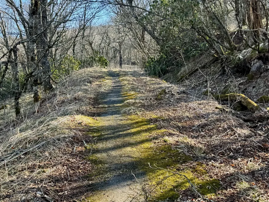 The MST near Bullhead Gap