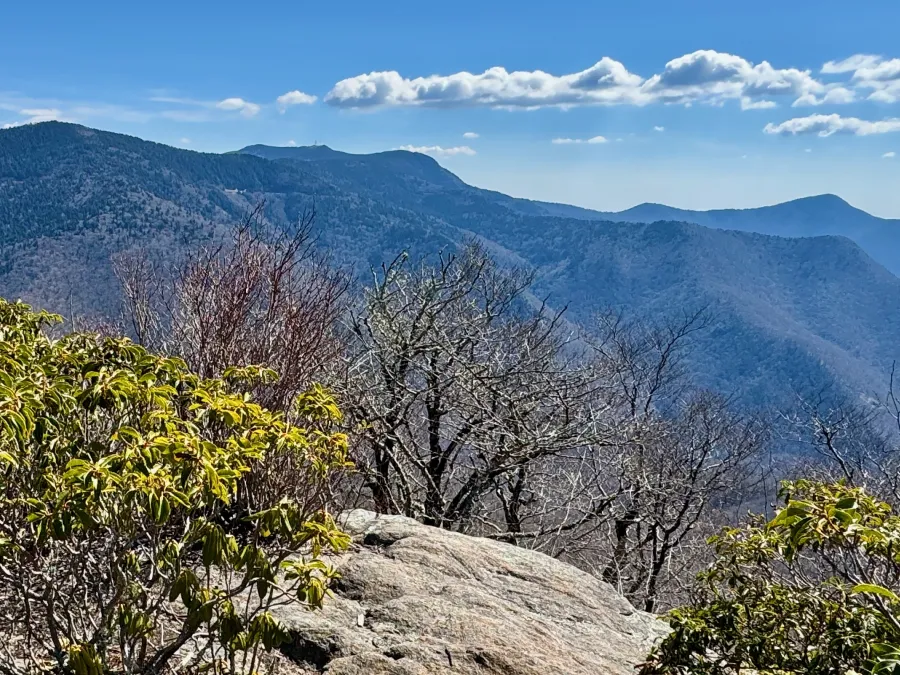 A view from a rock outcropping