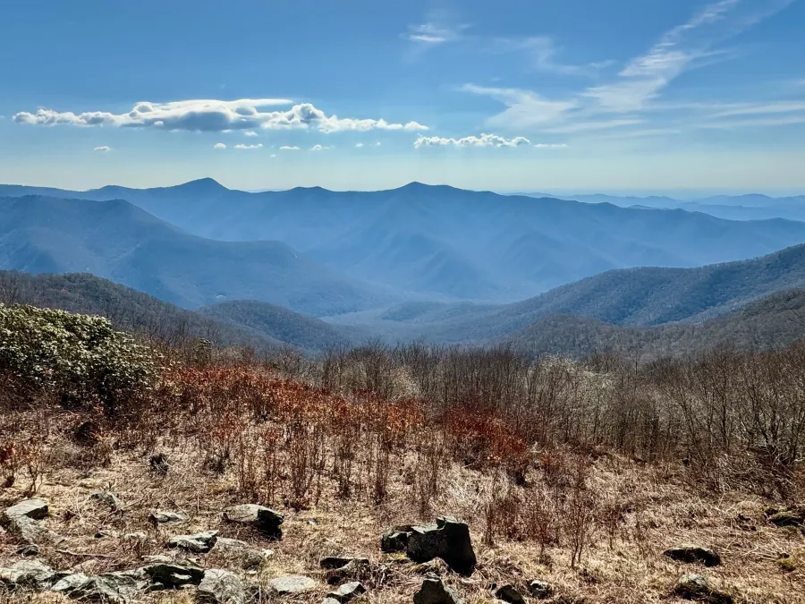 A view of the Asheville Watershed Conservation Area