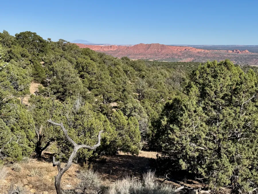 A wide view with Navajo Mountain in the far distance