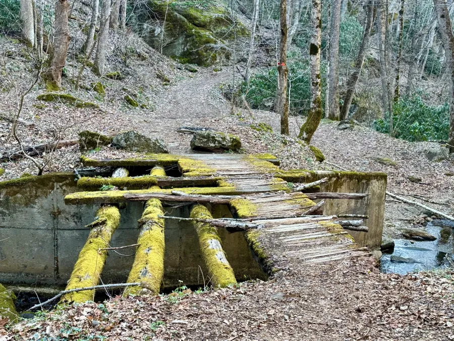 A ramshackle bridge over Bowlens Creek