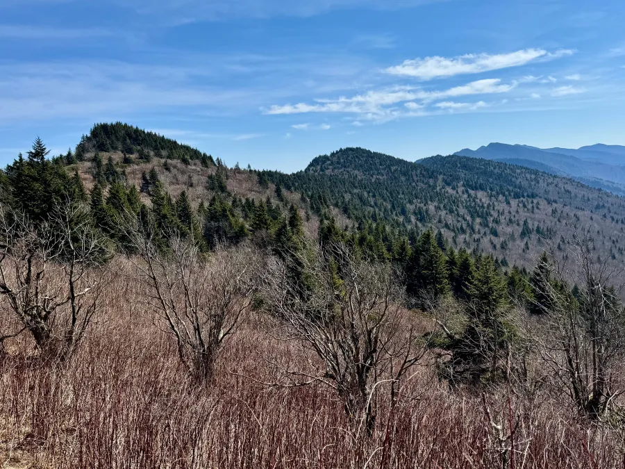 A view of the ridge of Black Mountains from near Celo Knob