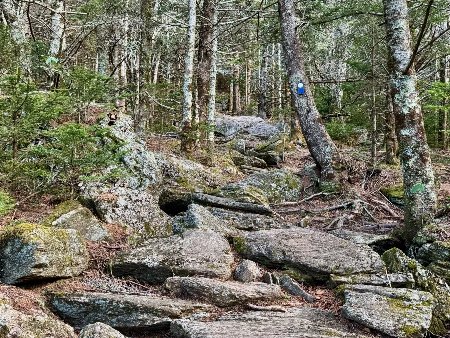 The trail climbs near the site of Camp Alice
