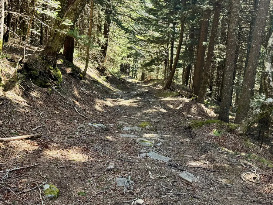 The Black Mountain Crest Trail begins a descent to Bowlens Creek
