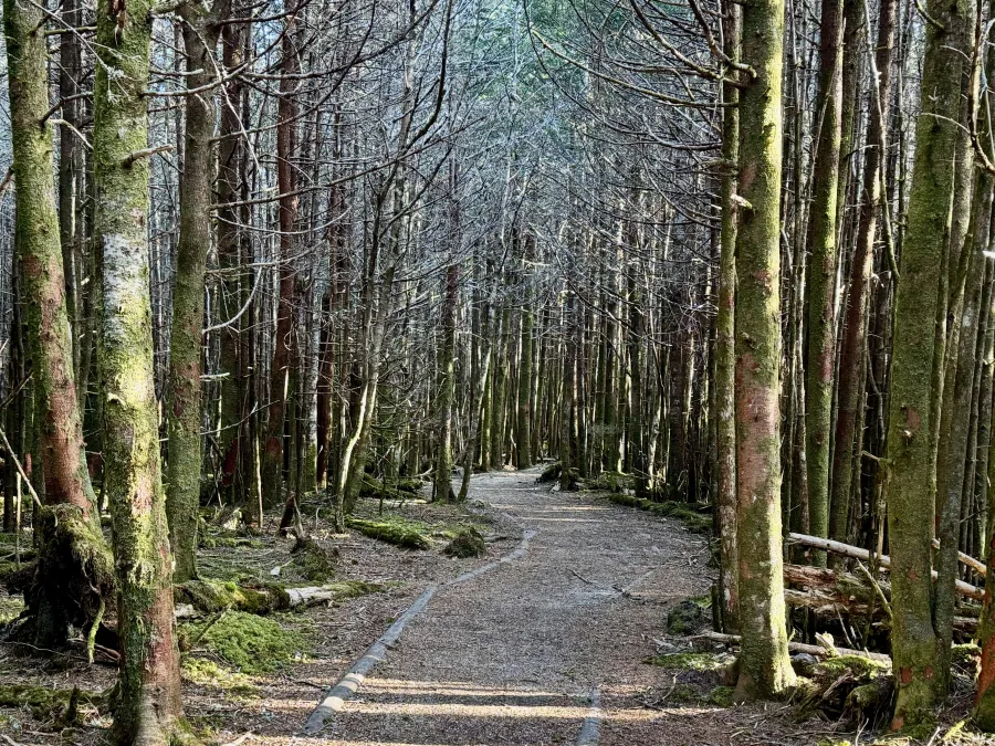 A flat section of trail