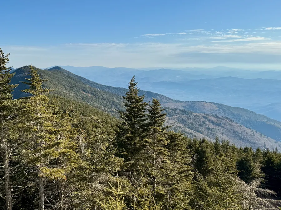 A view from the Mount Mitchell viewing platform