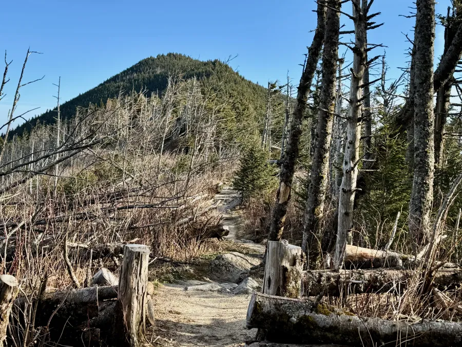 Climbing to Mount Craig