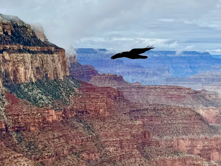 The Grand Canyon