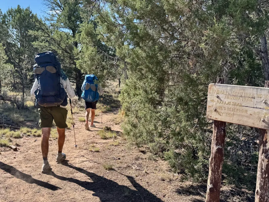 Shadow and Tom walk ahead