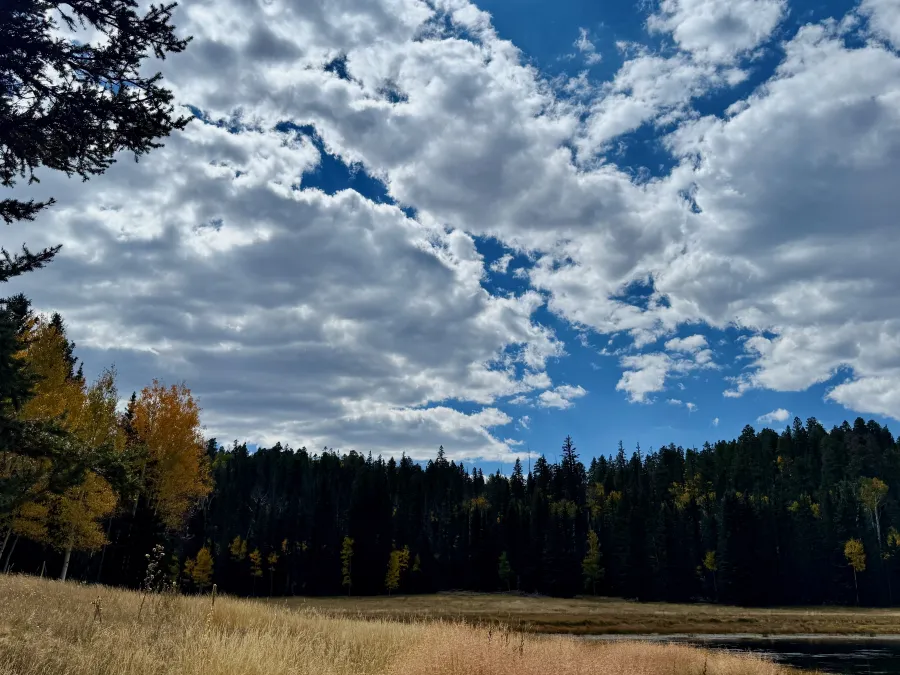 Clouds are thickening