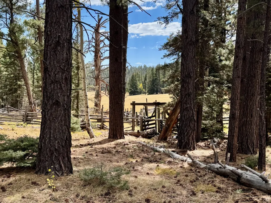 An old corral