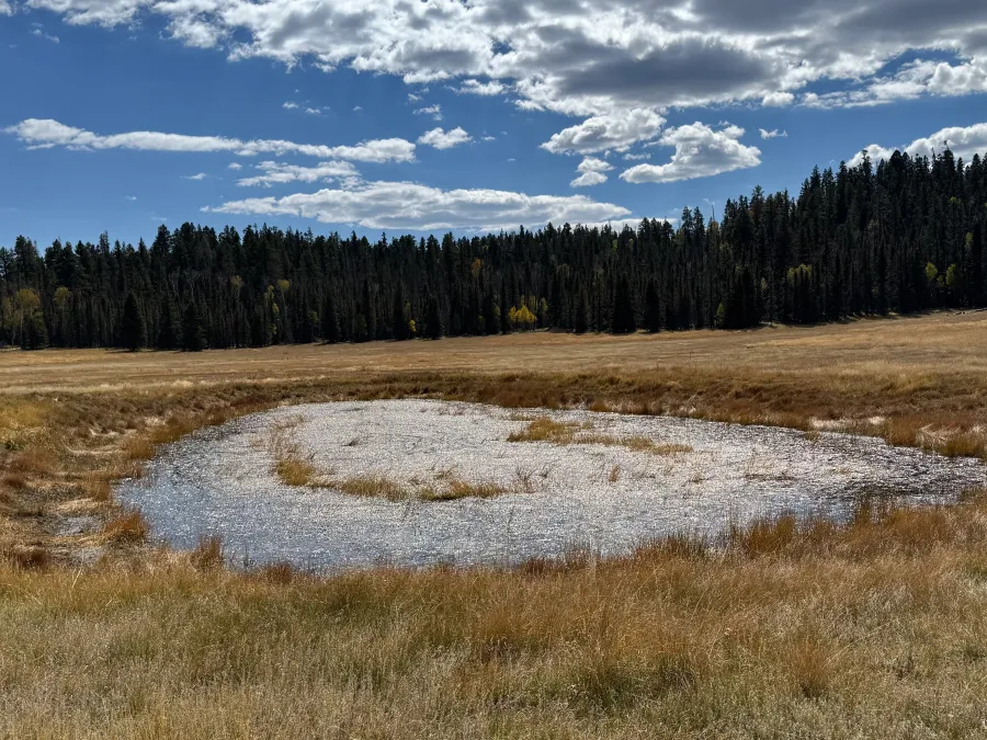 Little Pleasant Valley Tank