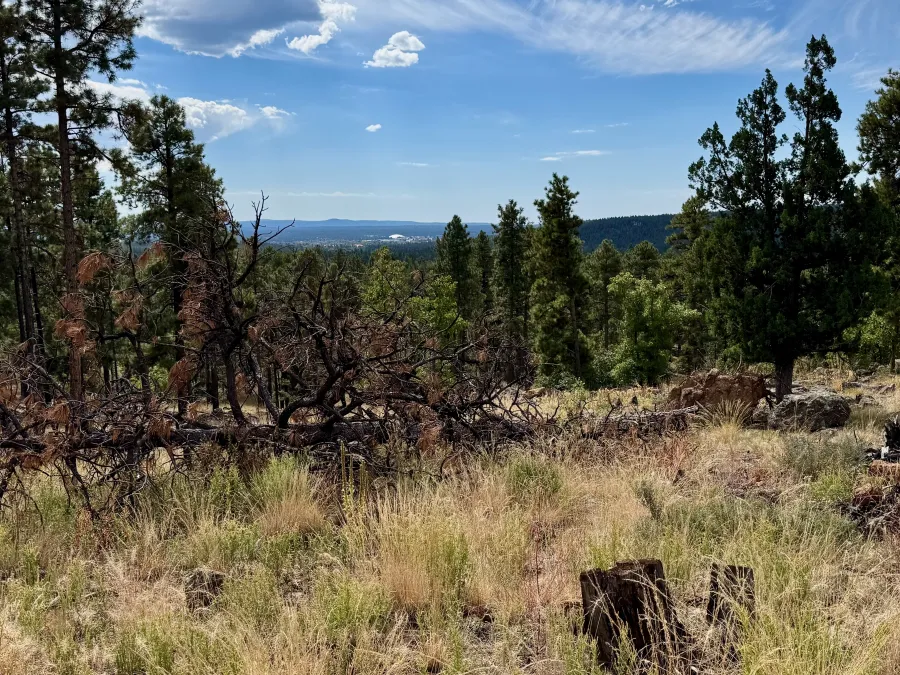 A distant view of Flagstaff