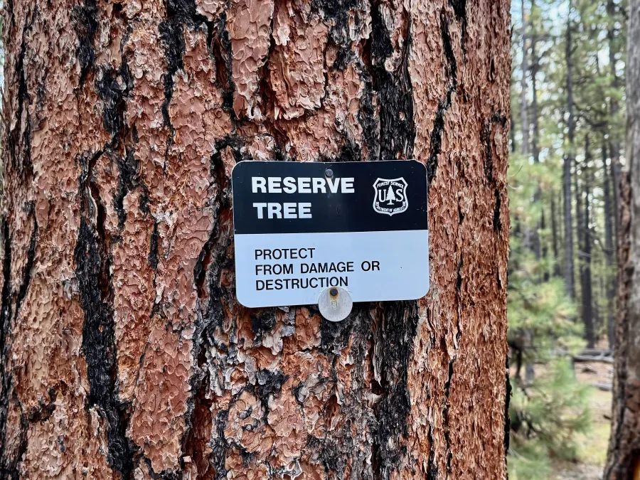 A sign on a reserve tree
