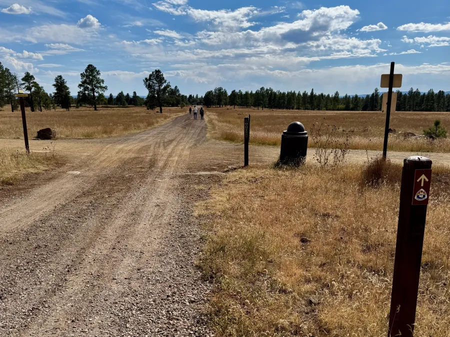 A wide, gravel path