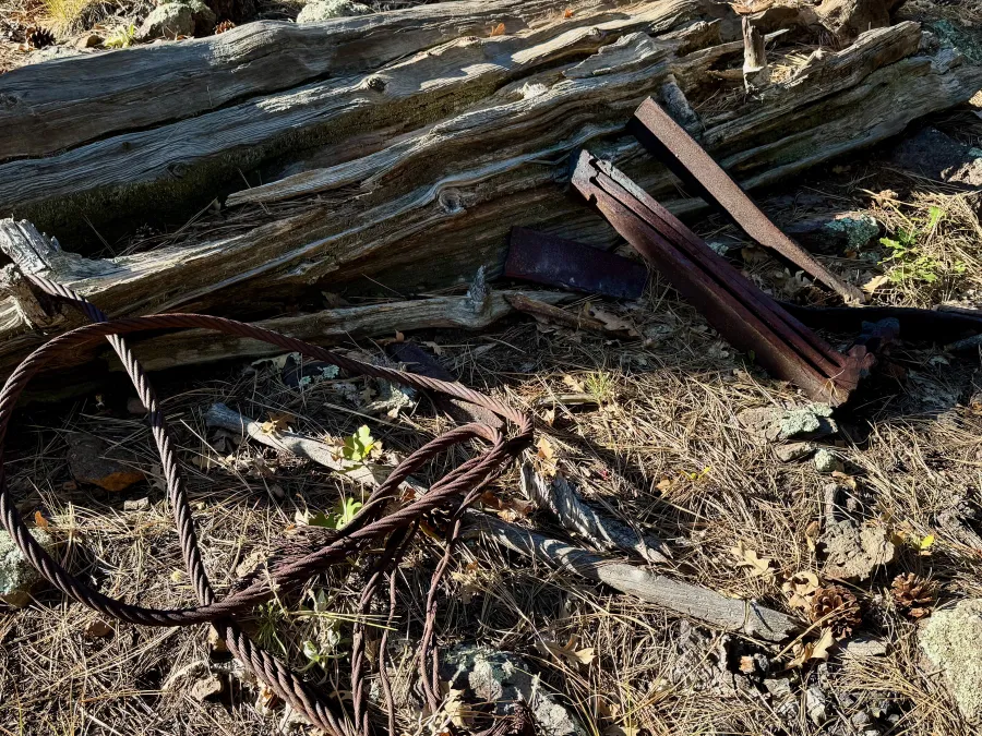 Rusting logging equipment