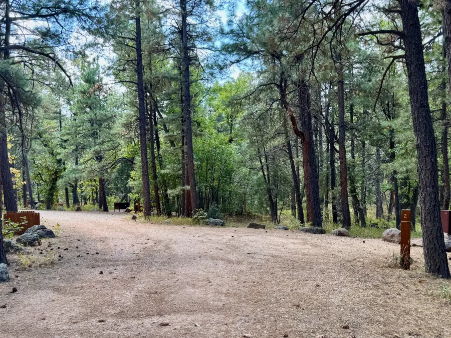 A National Forest Service campground