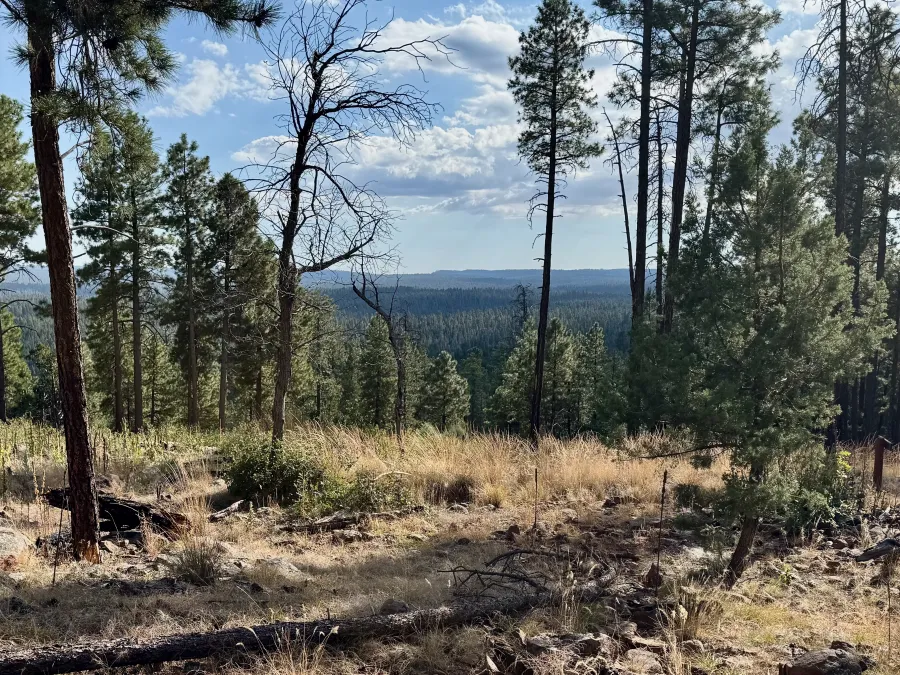 A view from the top of a ridge