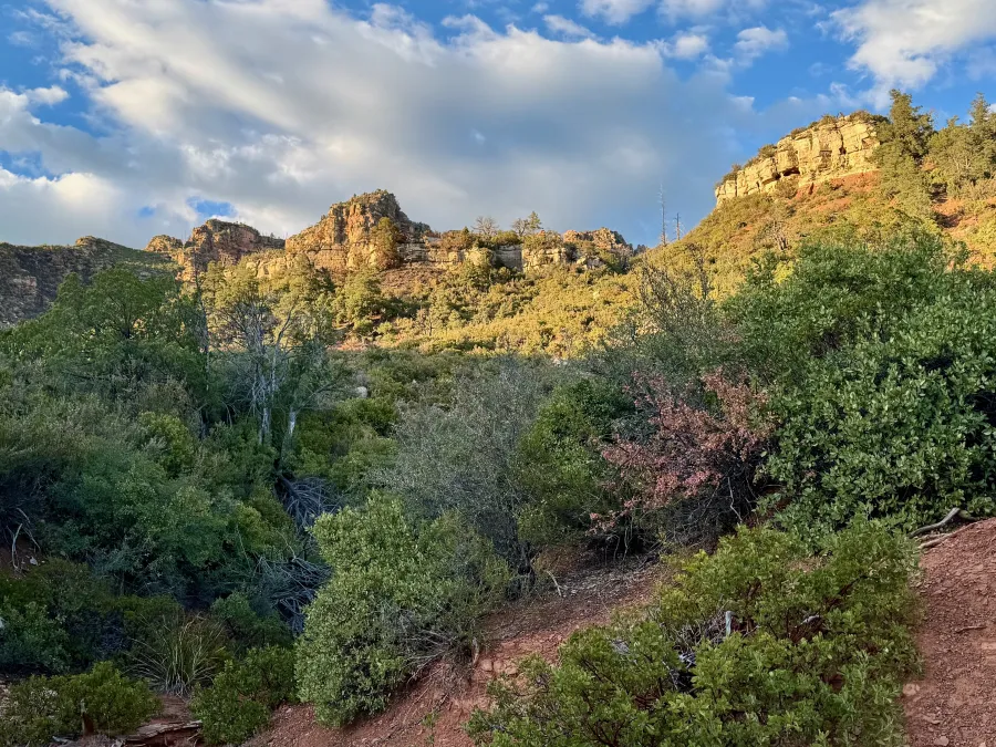 Late sun strikes the Mogollon Rim