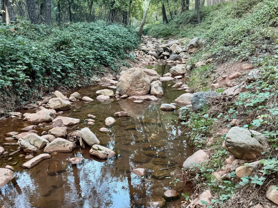 Webber Creek