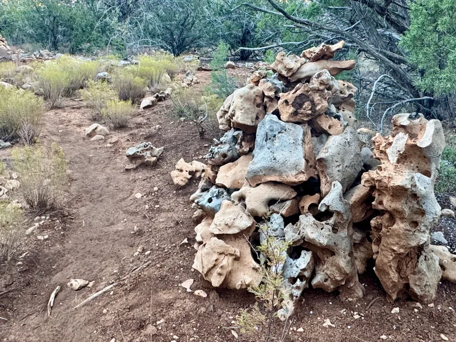 Rocks that look like dinosauer bones